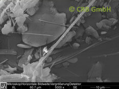 REM-Bild Anthophyllit-Asbest in Putz, Spachtel | © CRB Analyse Service GmbH