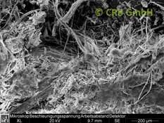 REM-Bild Chrysotil-Asbest in Talkum | © CRB Analyse Service GmbH