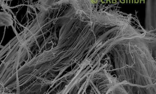 Immagine SEM crisotilo amianto in cartoncino amianto | © CRB Analysis Service GmbH