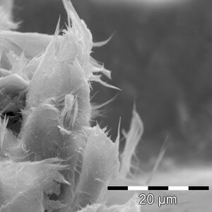 Small fibres of chrysotile in PVC-flooring | © CRB Analyse Service GmbH