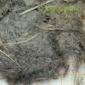 Weakly bound asbestos, amosite | © CRB Analyse Service GmbH