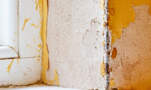 Asbesthaus - Emplacement : Plâtre et mastic, Spatule en plaques de plâtre | © 2019, CRB Analyse Service GmbH | © CRB Analyse Service GmbH