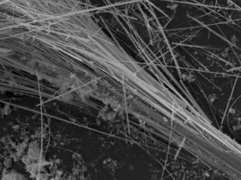 CRB GmbH | Asbestanalyse Amosit | © CRB Analyse Service GmbH