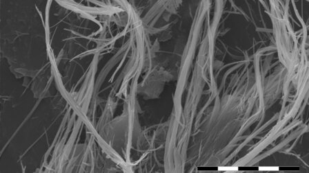 Chrysotil Asbest in Fliesenkleber - niedrige HD-Auflösung: 2576 x 1936 px / Dateigröße ca 4,8 MB | © CRB Analyse Service GmbH