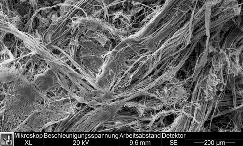 Amiante de chrysotile dans cushion vinyle, image MEB | © CRB Analyse Service GmbH
