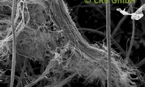SEM-beeld chrysotiel asbest in isolatieplaat | © CRB Analyse Service GmbH